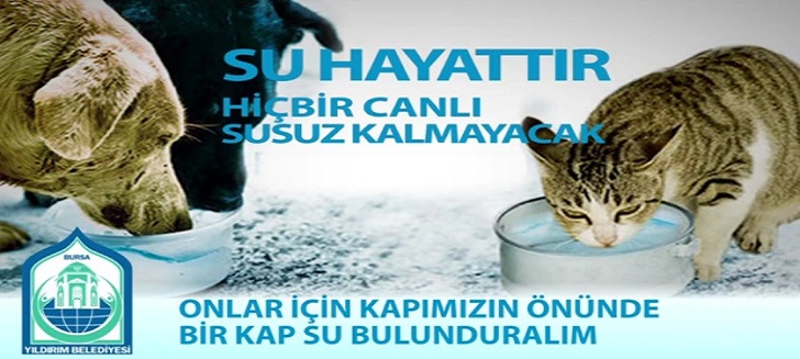 Reklam