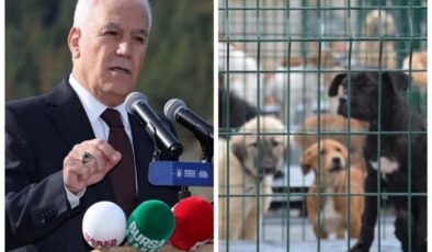 Bursa Büyükşehir Barınağında Pozitif Akım Sistemi Tartışmasında Tepkiler Çığ Gibi