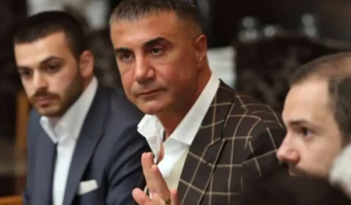 Sedat Peker 4 yıllık sessizliğini sokak hayvanları için bozdu!
