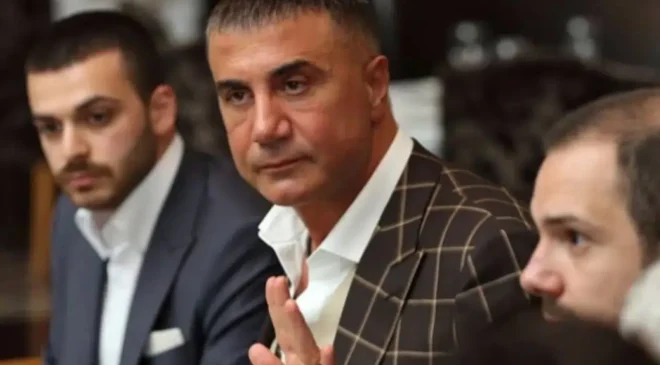 Sedat Peker 4 yıllık sessizliğini sokak hayvanları için bozdu!