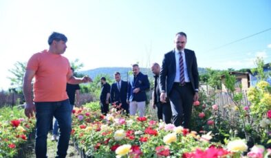 Süs Bitkileri Üretimi Kestel Belediyesi ile Dünya Pazarına Açılıyor