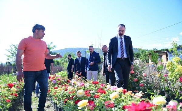 Süs Bitkileri Üretimi Kestel Belediyesi ile Dünya Pazarına Açılıyor