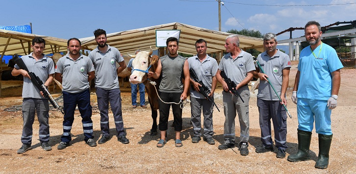 Osmangazi Belediyesi Kurban yakalama timi görevde…