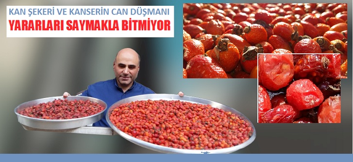 Kuşburnunun faydaları nelerdir?