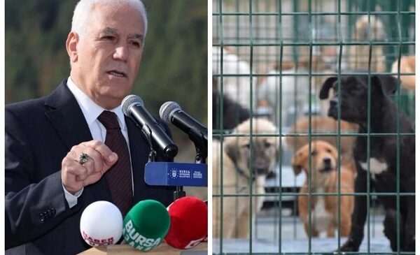 Bursa Büyükşehir Barınağında Pozitif Akım Sistemi Tartışmasında Tepkiler Çığ Gibi